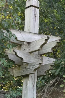 标志，柱子，路标，木材，方向，植物，树木，木材-材料