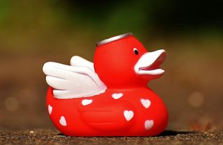 天使、鸭子、橡胶、可爱、安静、红色、单一物体、白色