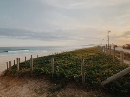 近海草场摄影 近海草场摄影