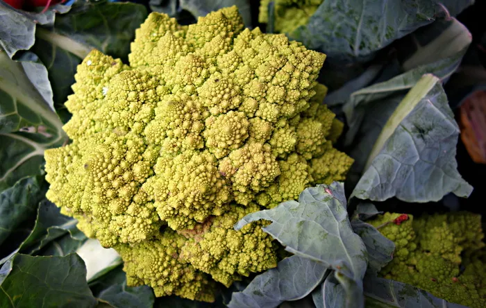 罗马花椰菜, 花椰菜, 芸苔, 蔬菜, 分形, 食品, 营养, 维生素 C