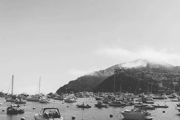 卡特琳娜，船只，码头，港口，港口，岛屿，海洋，海岸