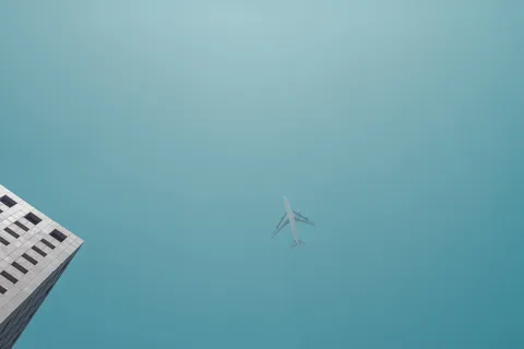 以色列，特拉维夫区，浅蓝色，鸟，飞，中东，特拉维维，旅行