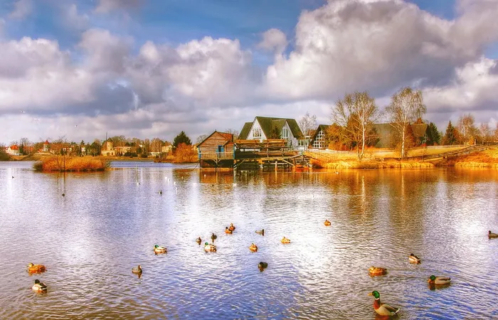 米尔斯，吉霍恩，博物馆，自然，下萨克森州，米尔斯博物馆，建筑，旧