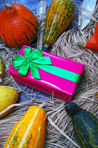 秋季, 秋天的心情, 包装, 南瓜, 田园风光, 心情, 环绕, 弓