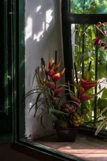 西班牙，sant cebriáde vallalta，水果，绿色，窗户，房子，户外，花园