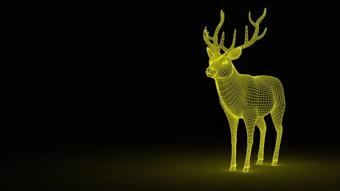 鹿，3d，线框，图形，图形，绘图，表示，驯鹿