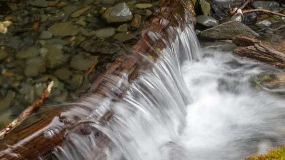 美国，惠蒂尔，克里克，小溪，阿拉斯加，森林，瀑布，水
