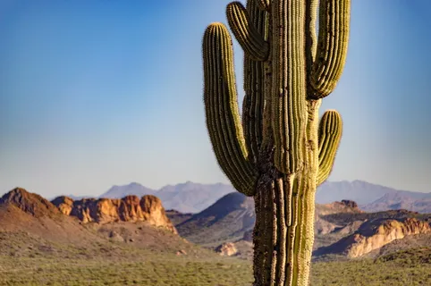 早晨，沙漠，风景，太阳，日出，徒步旅行，徒步旅行，寻宝圈