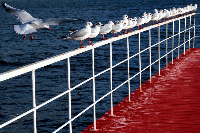 教程，绘画，教程，绘画，像素艺术艺术时期运动，绘画，艺术家，像素艺术，像素艺术