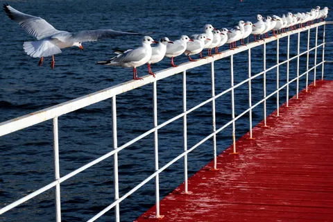 教程，绘画，教程，绘画，像素艺术艺术时期运动，绘画，艺术家，像素艺术，像素艺术