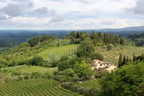 意大利，圣吉米尼亚诺，自然，树木，田野，托斯卡纳，酿酒厂，葡萄园