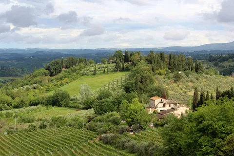 意大利,圣吉米尼亚诺,自然,树木,田野,托斯卡纳,酿酒厂,葡萄园 意大利,圣吉米尼亚诺,自然,树木,田野,托斯卡纳,酿酒厂,葡萄园