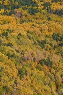 秋天,季节,风景,自然,美丽,背景,户外,枯叶 秋天,季节,风景,自然,美丽,背景,户外,枯叶