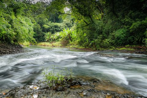 瀑布、森林、溪流、风景、波浪、雨林、水、岩石