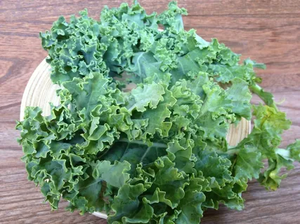 绿色,沙拉,餐桌垫,甘蓝,蔬菜,卷曲甘蓝,植物,农产品 绿色,沙拉,餐桌垫,甘蓝,蔬菜,卷曲甘蓝,植物,农产品