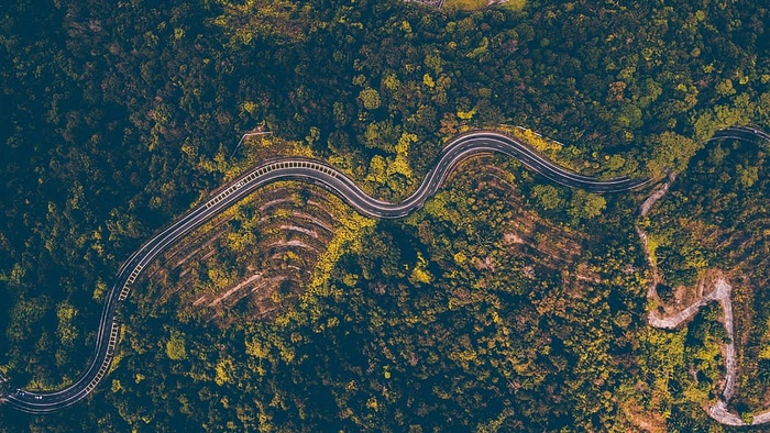 林旁道路航空摄影