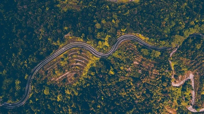 林旁道路航空摄影