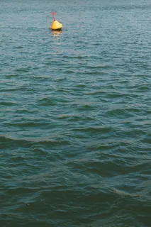 法国图卢兹，拉加龙，水，加龙，从上面看，浮标，红旗