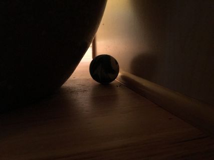 美国，雷德蒙，10733 221 ln ne，失物招领，球，秘密，室内