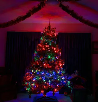 圣诞节，圣诞树，闪耀，闪烁，天空，日出，距离，灯光