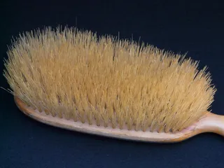 衣服刷，连衣裙，干净，刷，刷头，工作室拍摄，特写，没有人