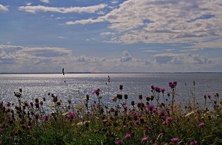 丹麦、丹麦海岸、岛屿、fyns hoved、波罗的海、丹麦波罗的海、丹麦波罗的海海滩、丹麦海滩