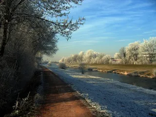 冬天，巴赫，寒冷，水，冬天，雪，自然，树