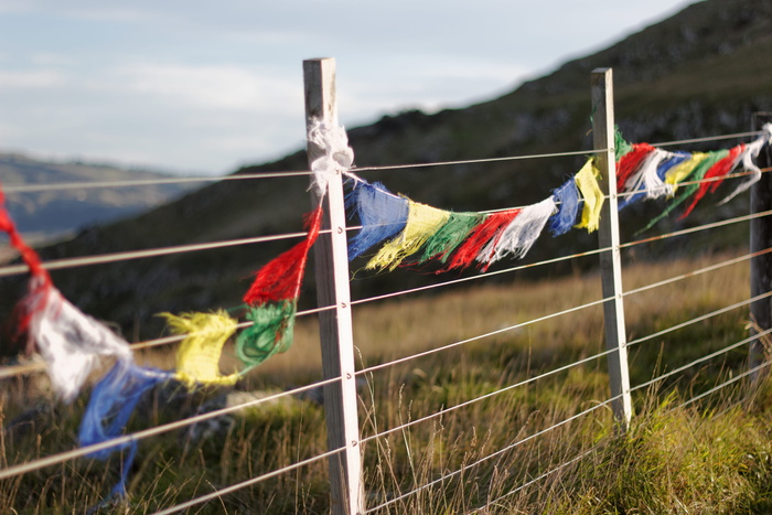 Tattered Bunting
