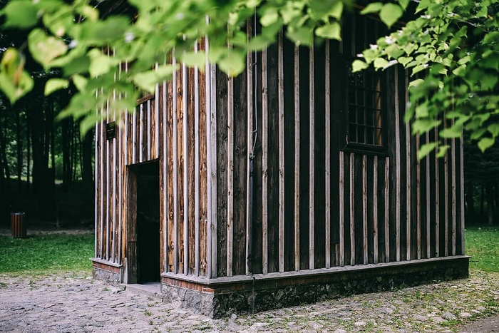 穿过森林的散步