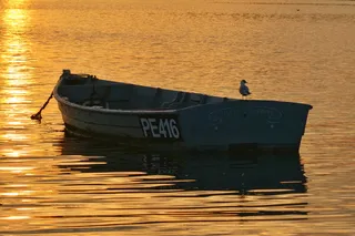 英国，克赖斯特彻奇港，池塘，湖泊，水，日落，黄金，水域