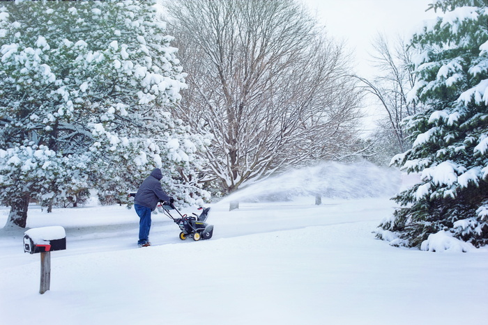 人，使用，吹雪机，包围，树，雪，吹雪，吹雪机