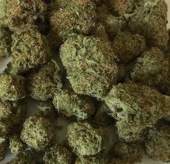 绿色都库什很多, 大麻, 杂草, 药物, 大麻, 医药, 植物 绿色都库什很多, 大麻, 杂草, 药物, 大麻, 医药, 植物