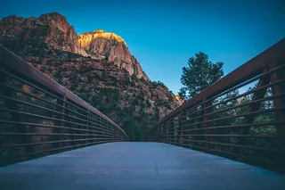 桥梁，连接，天桥，树枝，树，拱门，债券，平台