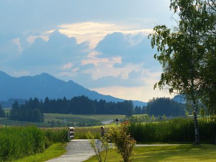 gewitterstimmung，多云的天空，湖泊，霍普劳，光，雨前光，傍晚光，植物