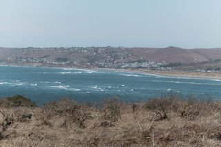 美国, buttonwillow, tule elk 国家自然保护区, 因弗内斯, tomales point, tule elk 保护区, tule elk, rebecca lily