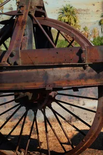 老黛娜，蒸汽拖拉机，葡萄酒，采矿，运输，遗产，死亡谷，加利福尼亚