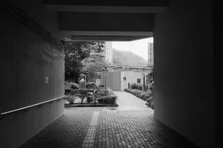 砖地面灰度照片