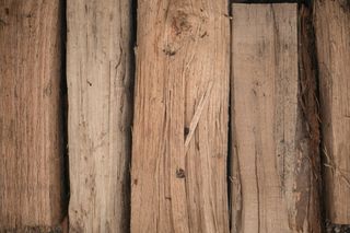 美国，梅里登，谷物，木纹，户外，树木，树木，木材