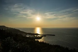 剪影摄影，森林，海洋，蓝色，天空，日落，地平线，黄昏