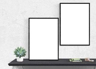 海报、框架、植物、书桌、复印空间、无人、墙壁建筑特征、空白