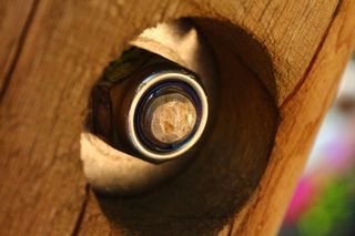 螺钉，棕色，脚手架，不锈钢，木材，生锈，旧，对比度