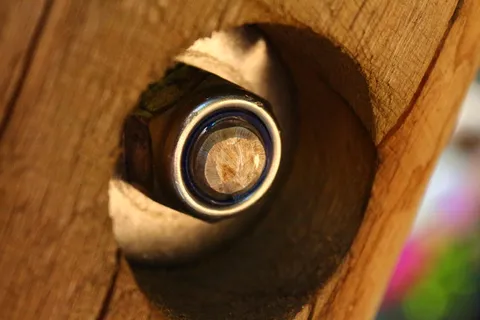 螺钉,棕色,脚手架,不锈钢,木材,生锈,旧,对比度 螺钉,棕色,脚手架,不锈钢,木材,生锈,旧,对比度
