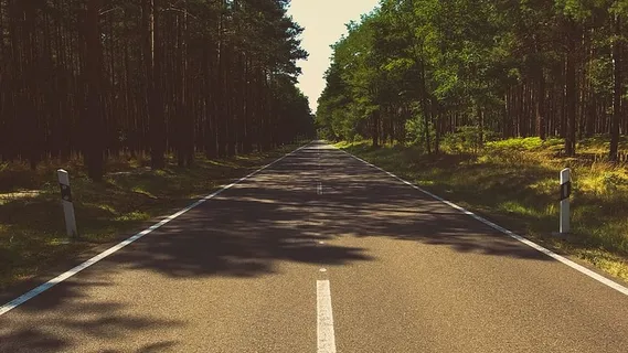 白天在森林中间的灰色水泥路照片 白天在森林中间的灰色水泥路照片
