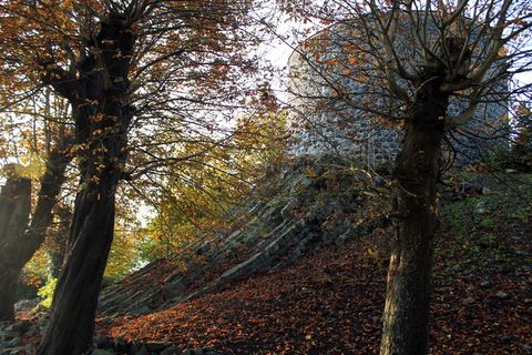韦斯特堡, Westerwald, 城堡, 玄武岩, 名胜古迹, 树, 植物, 树干