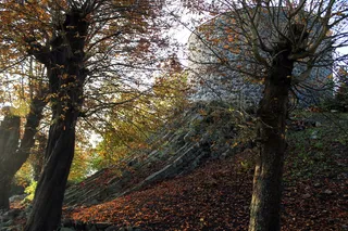 韦斯特堡, Westerwald, 城堡, 玄武岩, 名胜古迹, 树, 植物, 树干