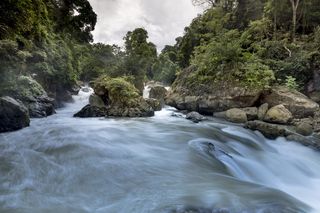 瀑布，顶尖学院，越南，自然，植物，旅游，风景，树木