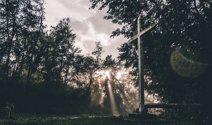 法国，费伦斯，萨布伦斯之路，森林，风暴，雨，十字架，基督教