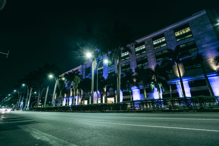 夜间，绿色棕榈树在灰色建筑附近的人行道上行走