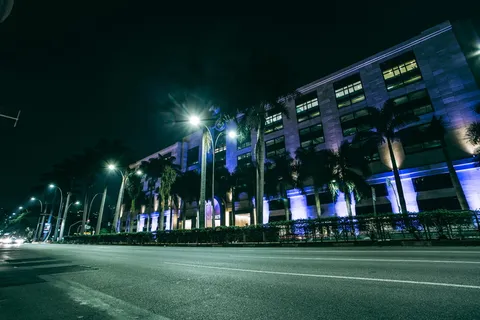 夜间,绿色棕榈树在灰色建筑附近的人行道上行走 夜间,绿色棕榈树在灰色建筑附近的人行道上行走