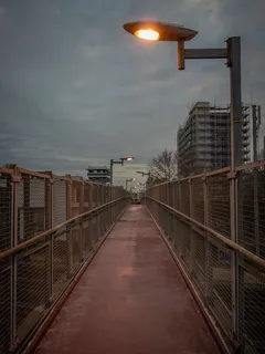 栏杆、扶手、栏杆、大门、巴黎、建筑、法国、小径